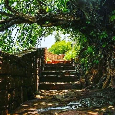 Le Petit Jardin Bed & Breakfast Демнат Екстериор снимка
